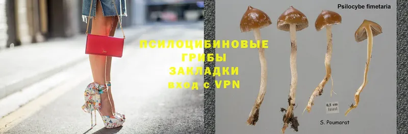 Галлюциногенные грибы Magic Shrooms  Вельск 